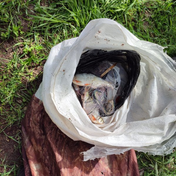 В Чувашии полицейские выявили факт незаконной ловли рыбы в количестве 175 штук